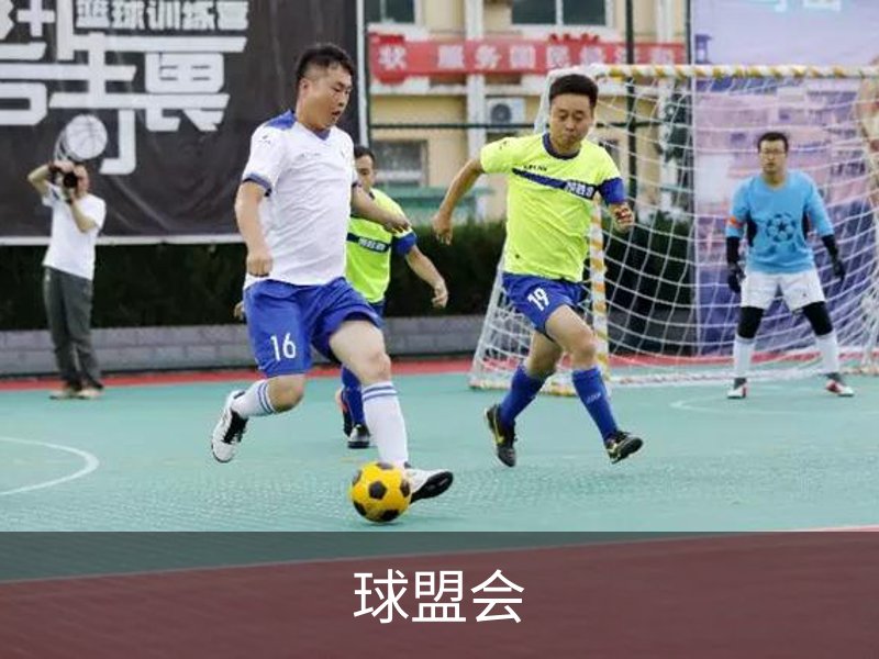 了解球盟会